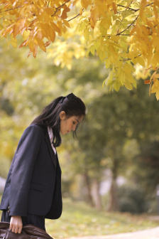 飞虎神鹰全集